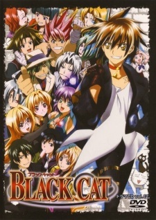 Чёрный кот / Black Cat